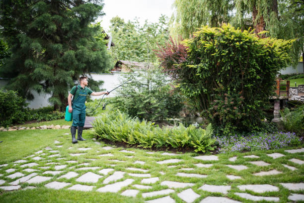 Best Residential Pest Control  in Clay, AL