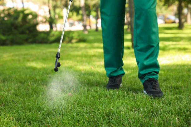 Best Termite Control Services  in Clay, AL