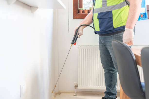 Best Termite Control Services  in Clay, AL
