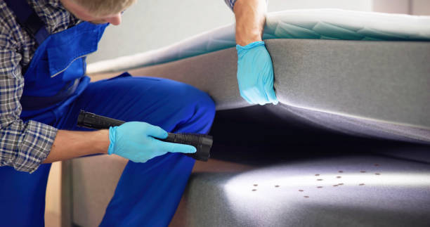 Best Pest Control for Restaurants  in Clay, AL