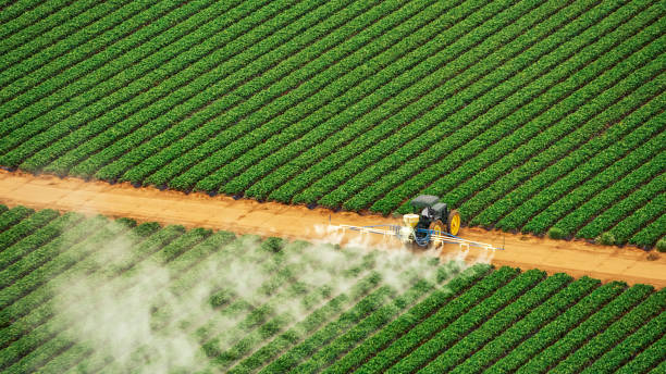 Pest Control for Restaurants in Clay, AL