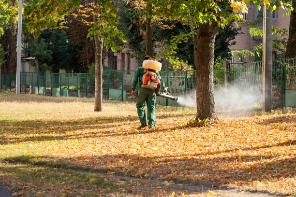 Best Best Pest Control Companies  in Clay, AL